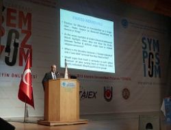 Şiddet'e uluslararası sorgulama